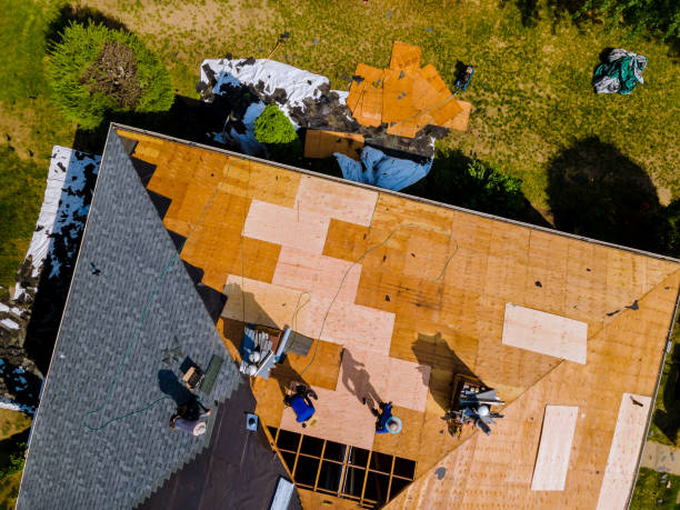 Roof Gutter Cleaning in Ashville, AL