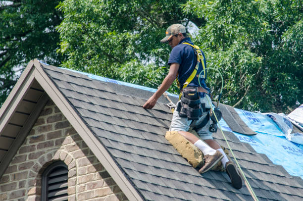 Best Roof Maintenance Services  in Ashville, AL
